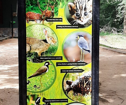 Tuktukdude Leisure-马塔拉必去景点