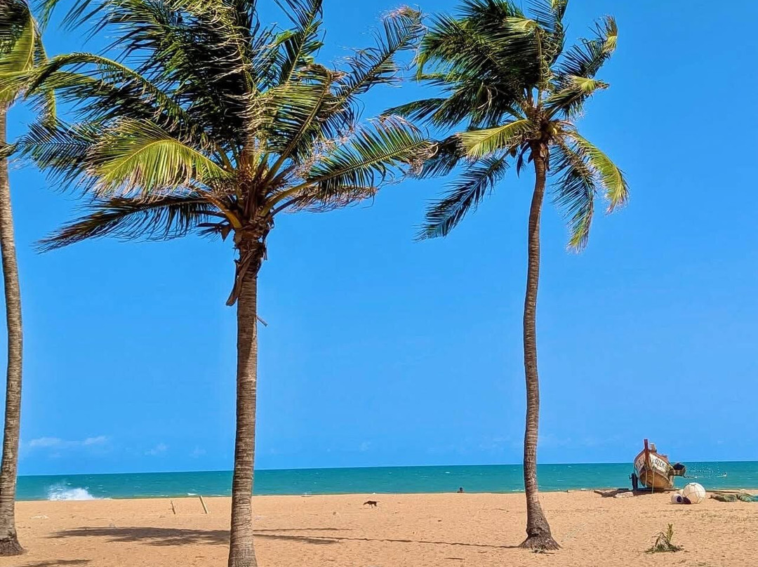 Visit Bénin Tours-Abomey-Calavi必去景点