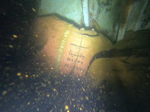 Ducks Diving Safaga-Safaga必去景点