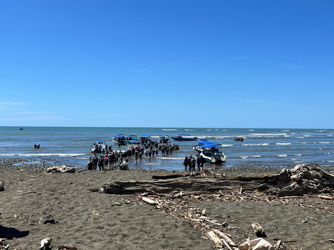 Ficus Tours-希门尼斯港必去景点