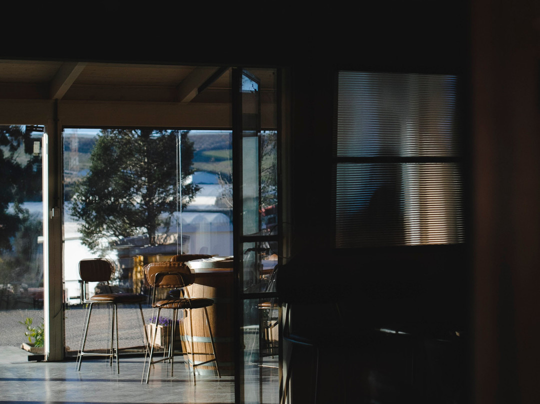 Drimia Winery-Judaean Hills必去景点