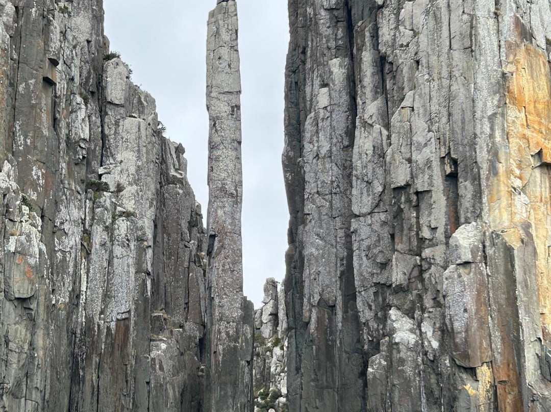 Three Capes Track-亚瑟港必去景点