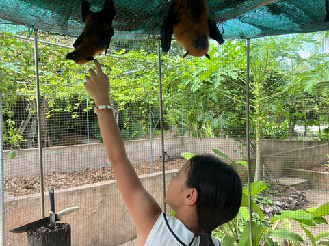 Praslin Museum-普拉兰岛必去景点