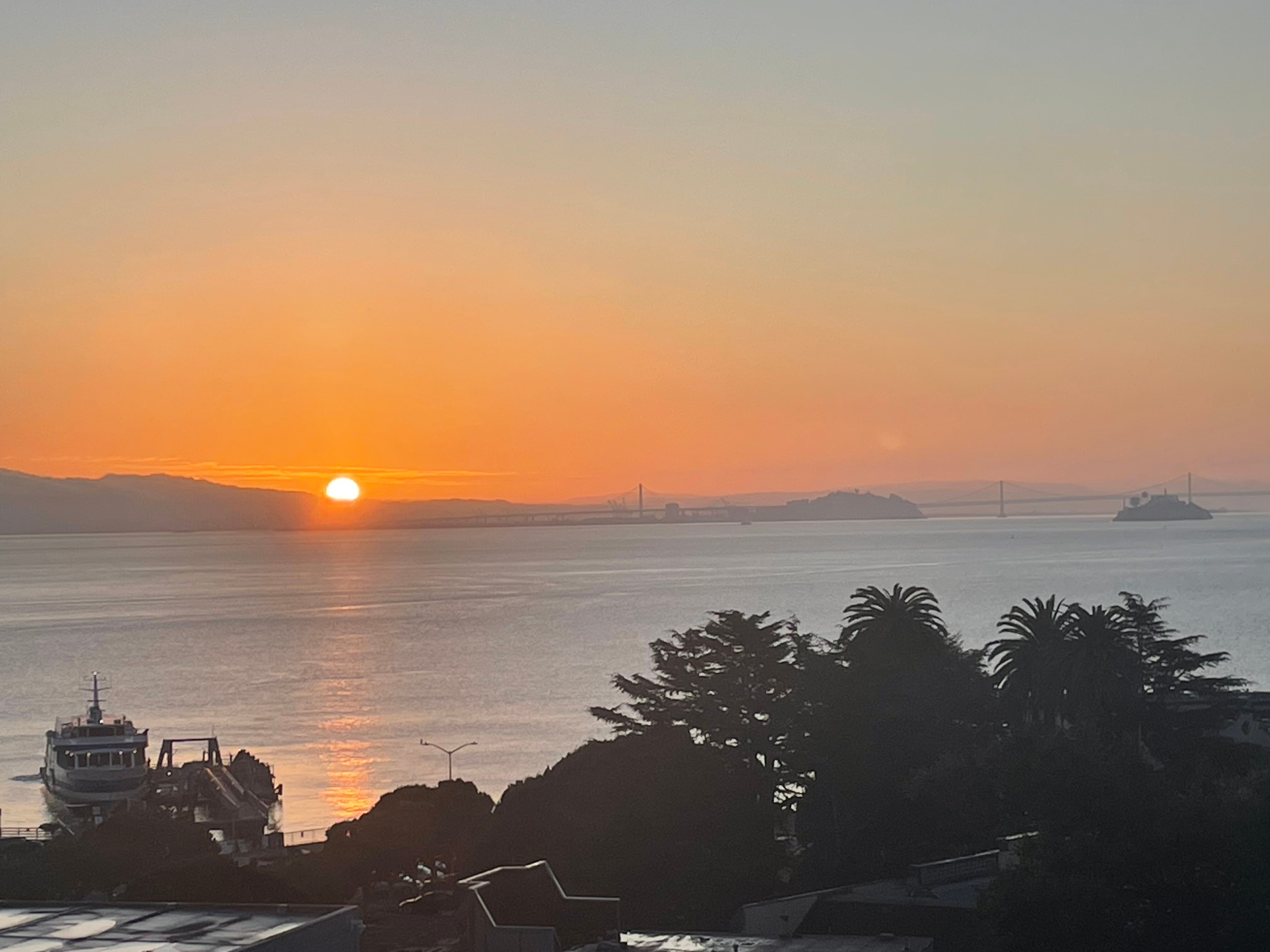 野草莓Spa酒店-官方