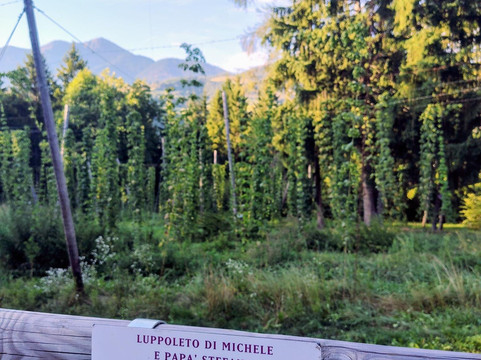 Birrificio Agricolo Artigianale Birra Di Fiemme-Masi di Cavalese必去景点