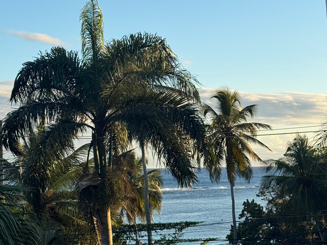 雷富吉奈普图诺酒店主图