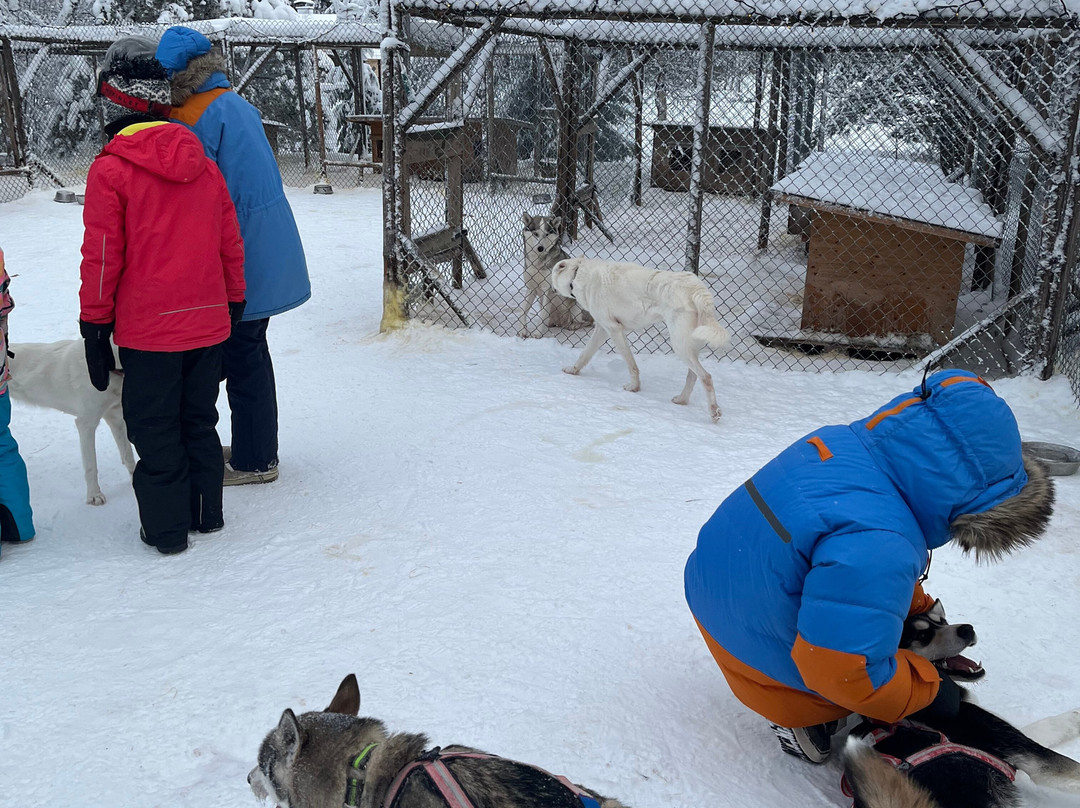 Husky & Yoga Nature-罗瓦涅米必去景点