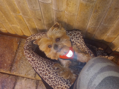 圣彼得堡市中心霍兰德酒店主图