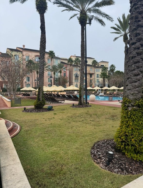 奥兰多环球洛斯波托菲诺海湾酒店-泳池