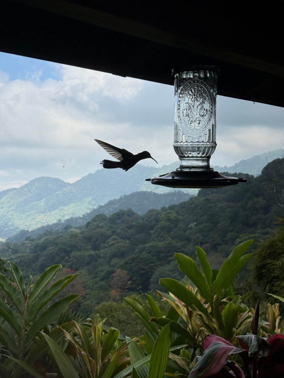内陆自然保护区酒店-浴室