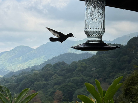 内陆自然保护区酒店主图