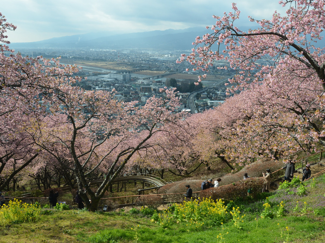 Nishihirahata Park-松田町必去景点