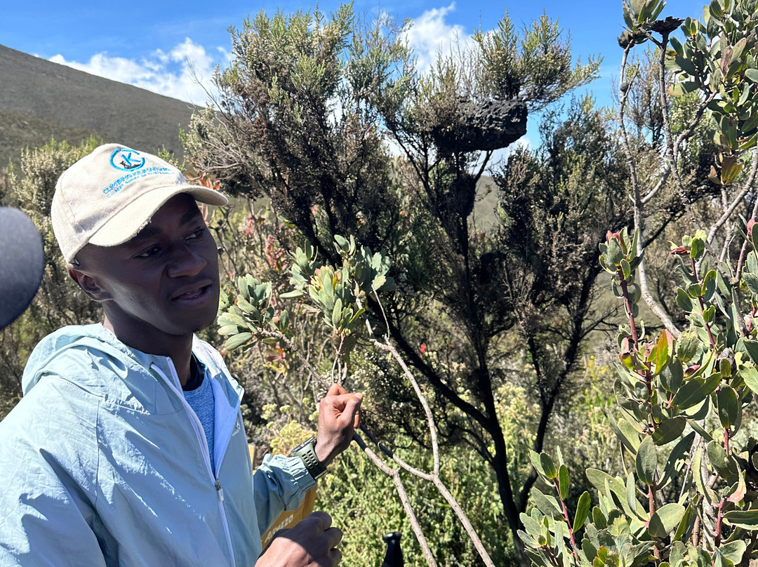 Climbing Kilimanjaro-Machame必去景点