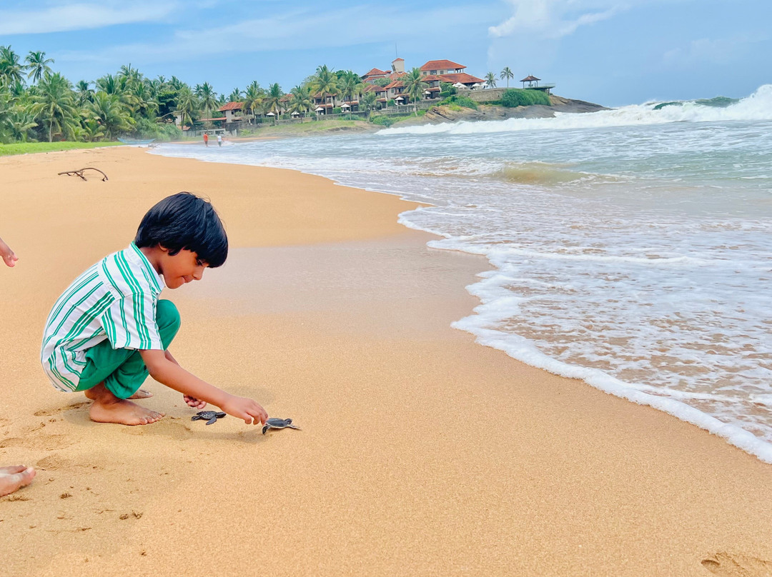 Slim Line Tours-Marawila必去景点