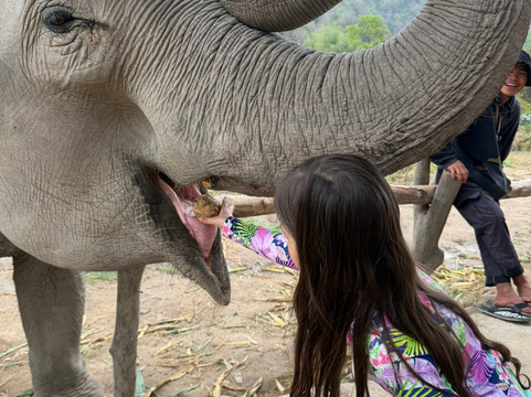 The Chai Lai Orchid-Mae Win必去景点
