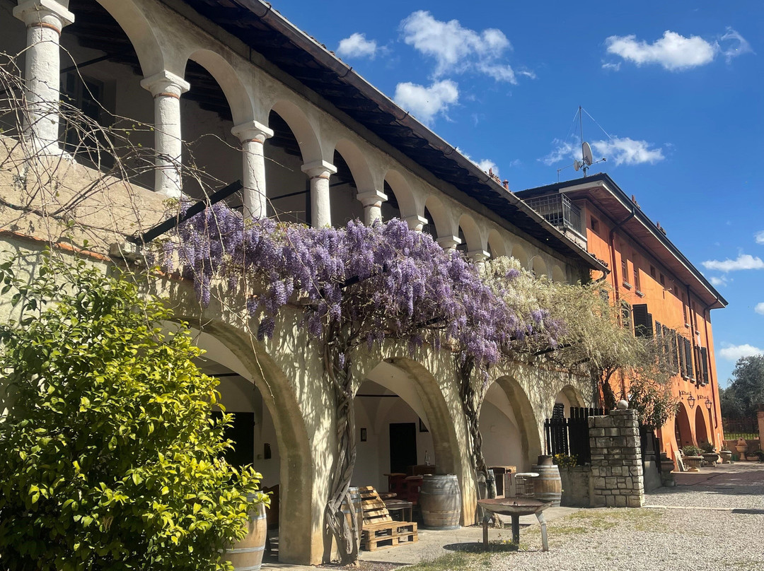 Azienda Agricola La Torre-Mocasina必去景点