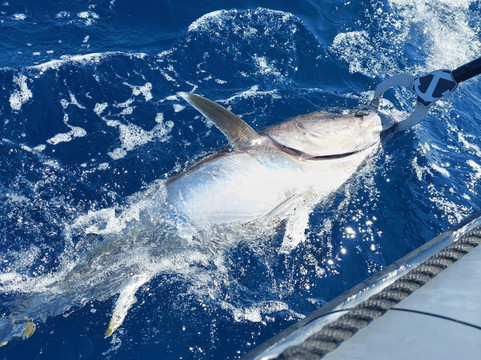 Experience Peche-勒格罗迪鲁瓦必去景点