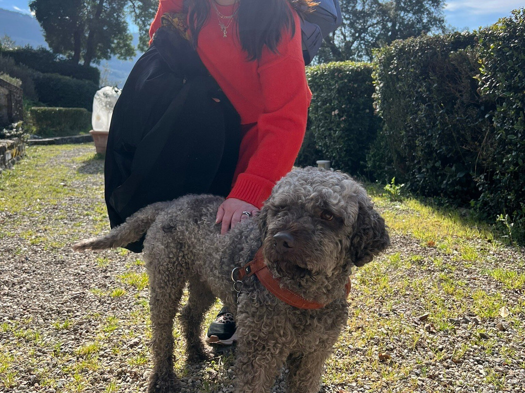 坎普伦高乡村民宿主图