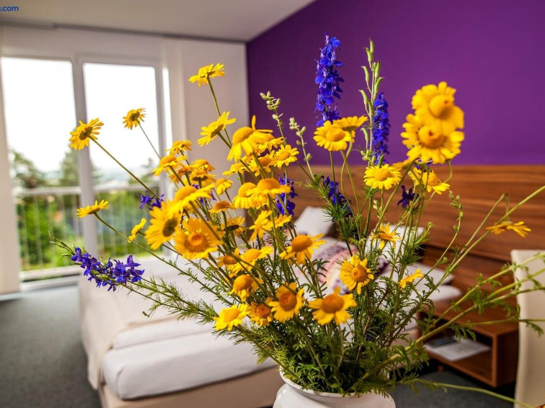 Ganserndorf酒店住宿-Amethysthotel Mantler