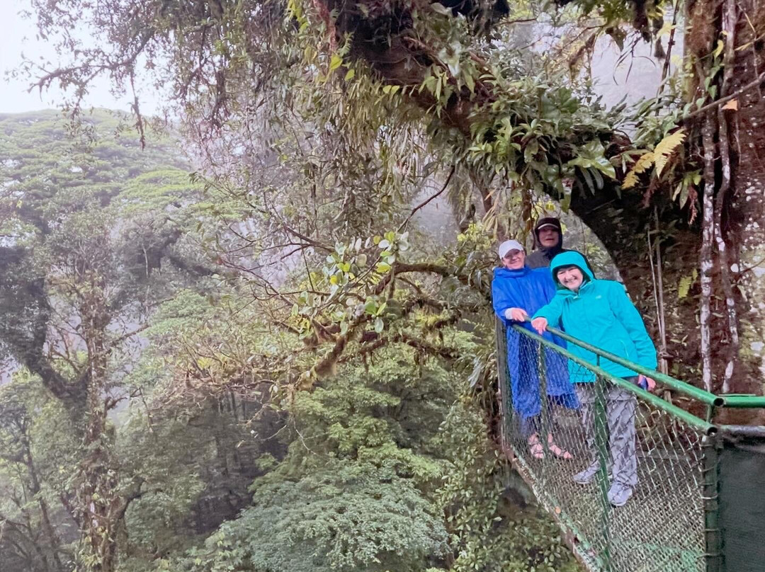 Shaman Tours-Playas del Coco必去景点