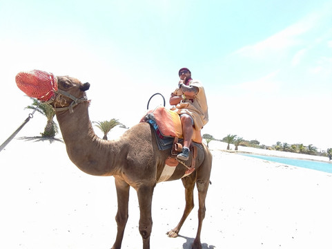 Dromedarius-伊卡必去景点