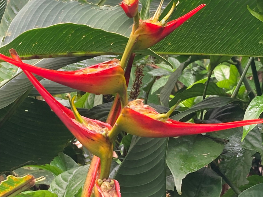 Brother's Adventures Tours-萨迪纳尔必去景点