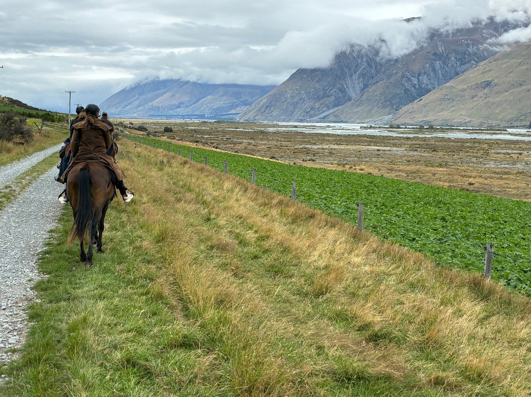 High Country Horse Adventures Lake Coleridge-基督城必去景点