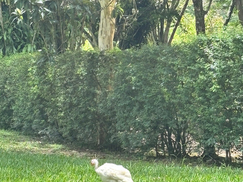 Fazenda Santa Cecilia-Miguel Pereira必去景点