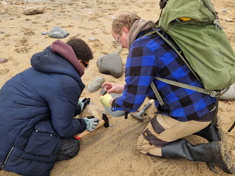 The Wobbly Fossiler-Charmouth必去景点