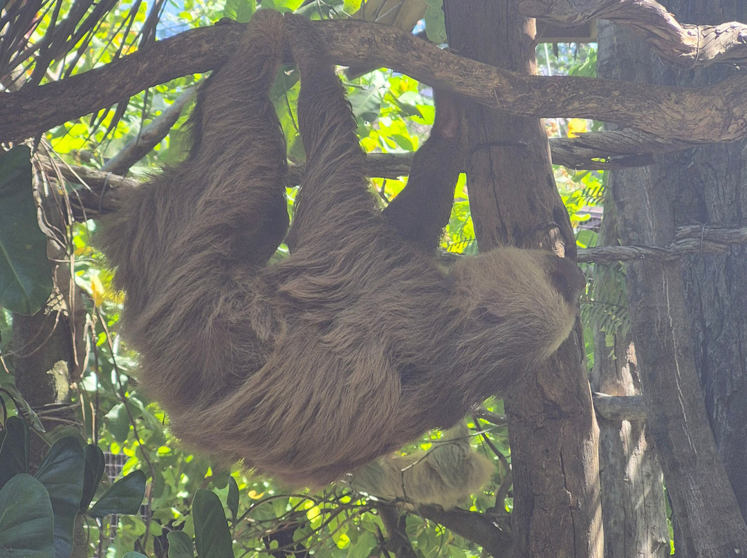 Diamante Eco Adventure Park-Playa Matapalo必去景点