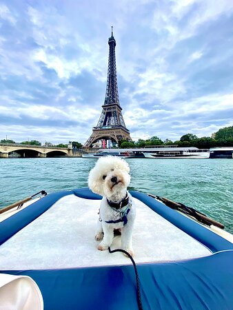 巴黎乔治五世四季酒店主图