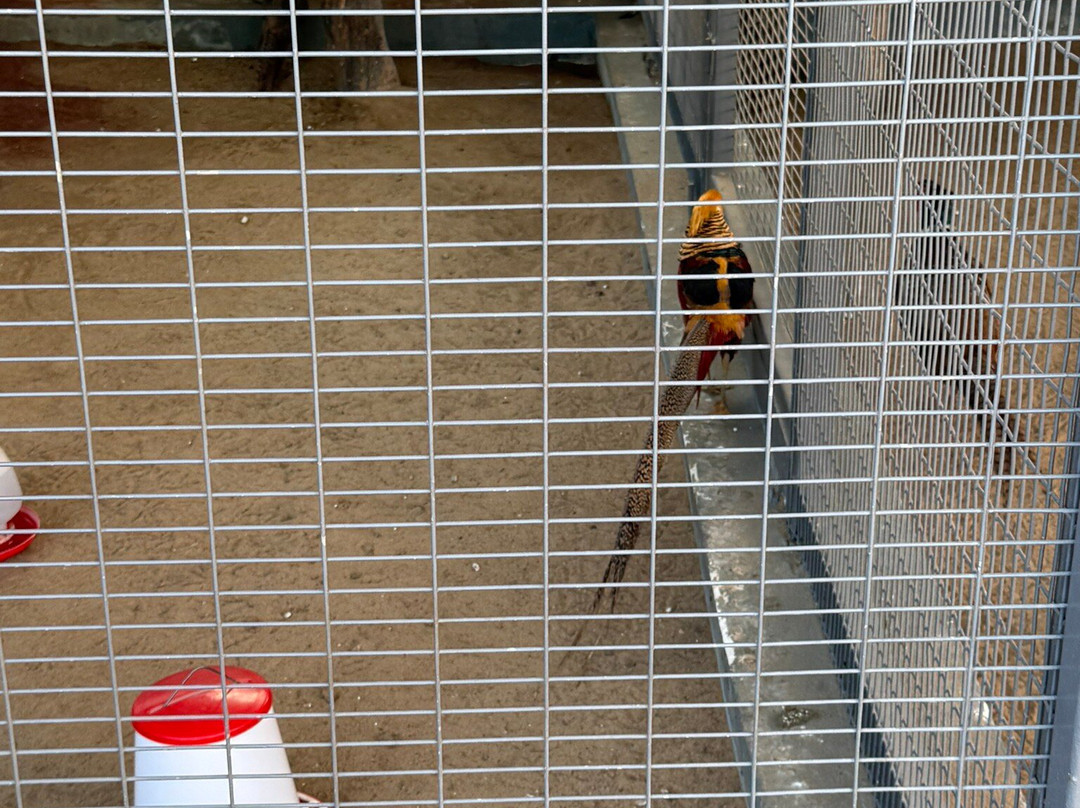 Trichy Birds Park-Tiruchirappalli必去景点