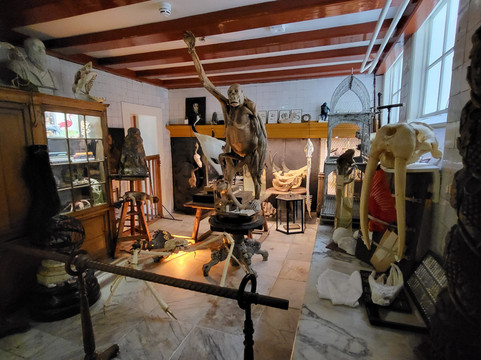 Art Zoo Museum-阿姆斯特丹必去景点