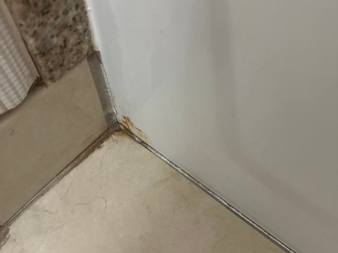 西门罗希尔顿花园酒店主图