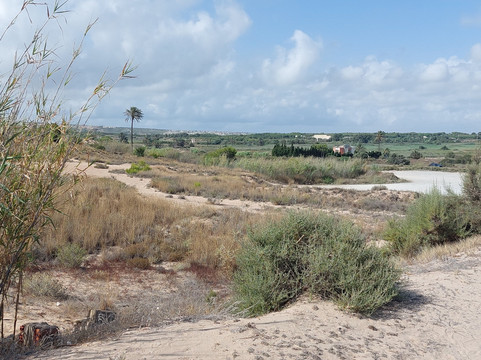 Platja De L'altet / Playa De El Altet