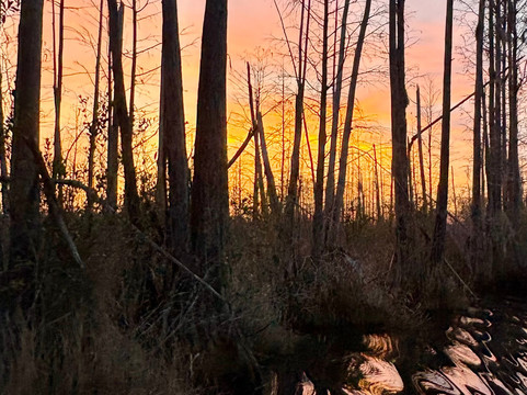 Okefenokee Adventures-Folkston必去景点
