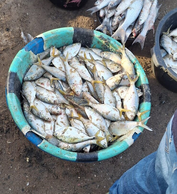 Tanji Fishing Village-Tanji必去景点