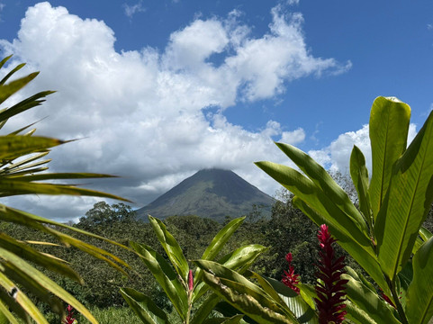 The Wellness Park Arenal & Ecolodge-福德圣卡洛斯必去景点