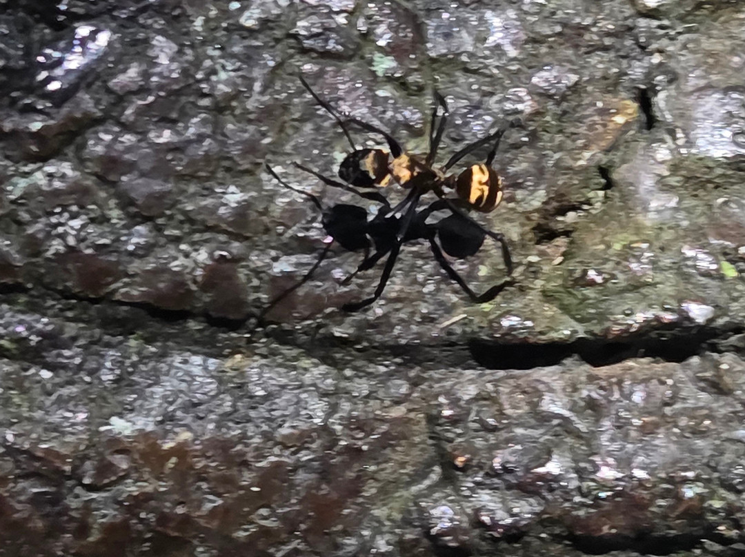 Amstar DMC-利比里亚必去景点