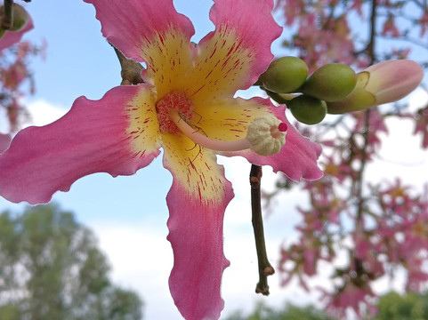 双龙桥-建水县必去景点