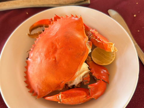 Mimmo Shaibu Kenya Safari-瓦塔木必去景点