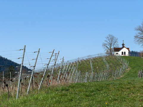 Panoramaweg-巴登巴登必去景点