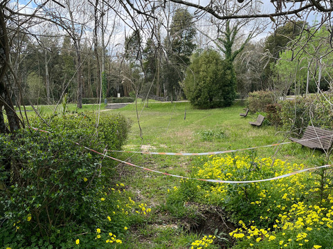 Parque Da Cidade-梅阿利亚达必去景点