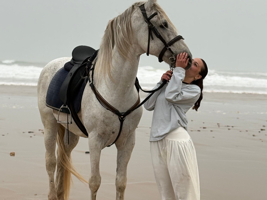 Essaouira Dreamers-索维拉必去景点