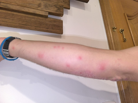 波萨达圣安娜酒店主图