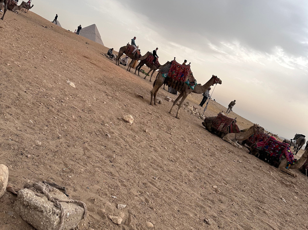 Giemme Escursioni-沙姆沙伊赫必去景点