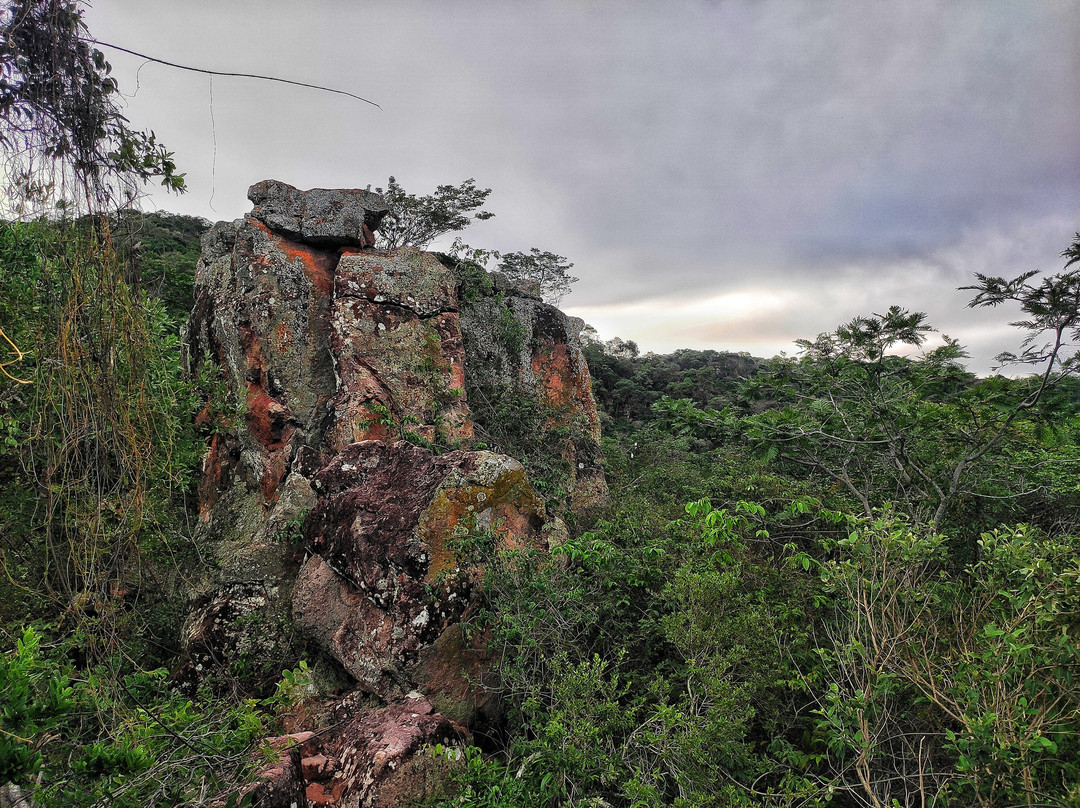 Chapada do Araripe | Crato-Crato必去景点