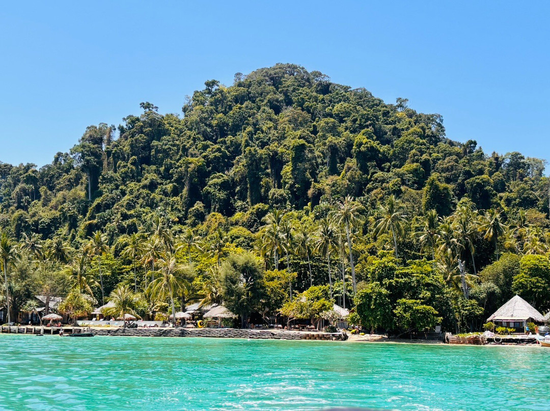 爱岛可可小屋主图