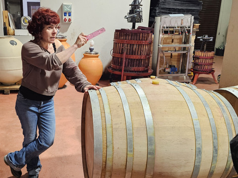 Travel Priorat-Falset必去景点