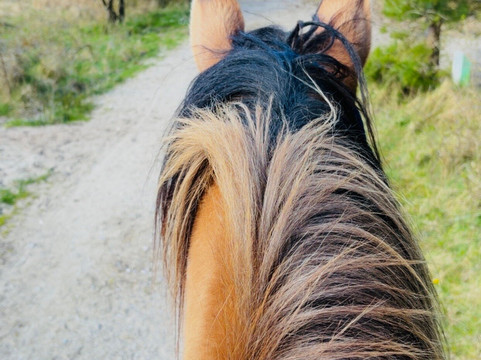 Espaces Equestres Henson-Saint-Quentin-en-Tourmont必去景点